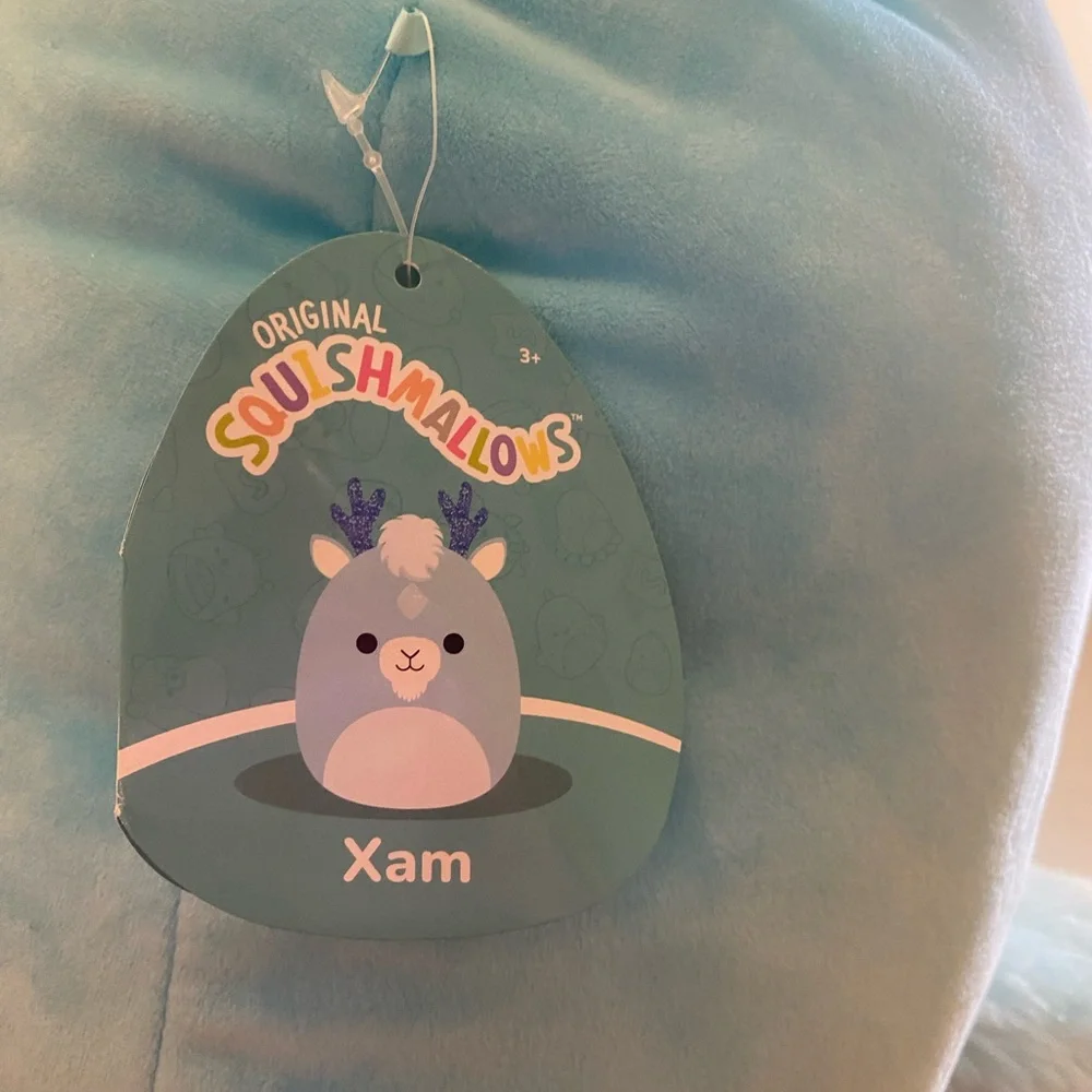 Squishmallow (xam) - Picture 6 of 8